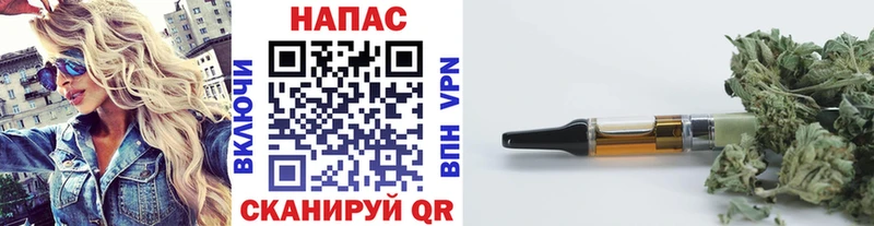 ГАШ Владимир