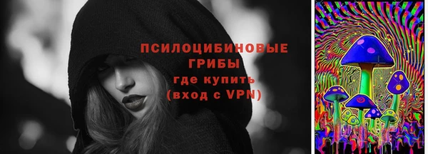 2c-b Горно-Алтайск