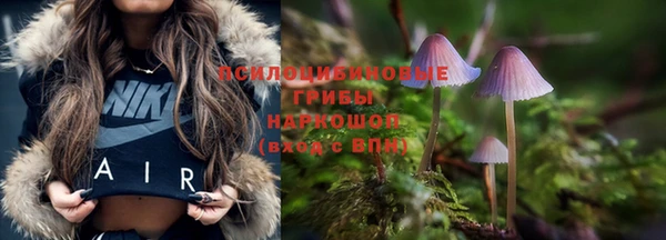 2c-b Горняк