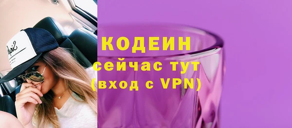 2c-b Горняк