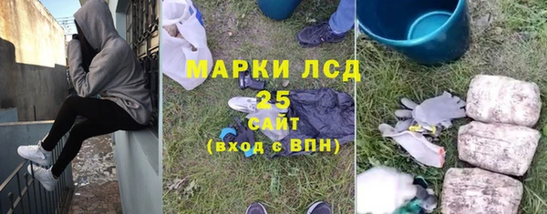 2c-b Горно-Алтайск