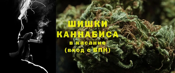 2c-b Горно-Алтайск