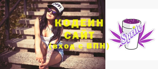2c-b Горно-Алтайск