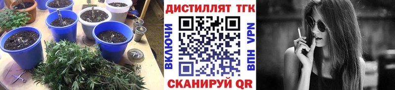 купить наркоту  Владимир  ТГК Wax 