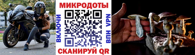 Псилоцибиновые грибы мухоморы  Владимир 